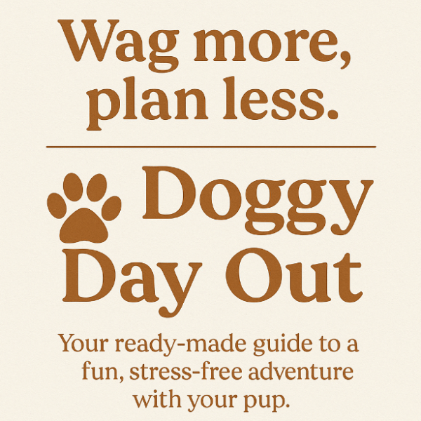 doggy-day-out-guide